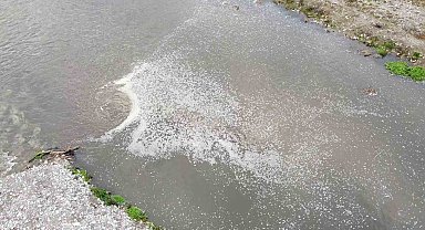 Taşova'da Yeşilırmak kirlilikten köpürdü