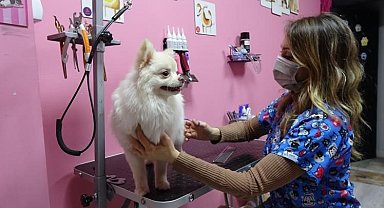Tavşanlı'da evcil hayvan sahipleri için ilk pet kuaförü açıldı