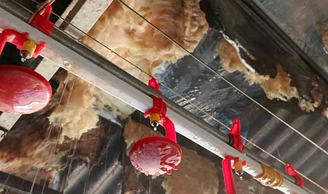 Tavuk çiftliğinde çıkan yangın itfaiyenin müdahalesiyle söndürüldü