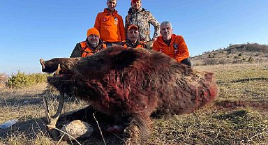 Tekirdağ'da avlanan 250 kiloluk yaban domuzu büyüklüğüyle şaşırttı