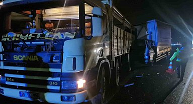 TEM'de arıza yapan kamyonu emniyet şeridine park etti, kamyon çarptı: 1 yaralı