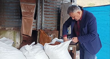 TMO'nun fiyatı yeni sezon için de belirleyici olacak