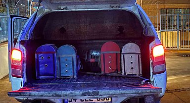 Tokat'ta horoz dövüştürenlere baskın