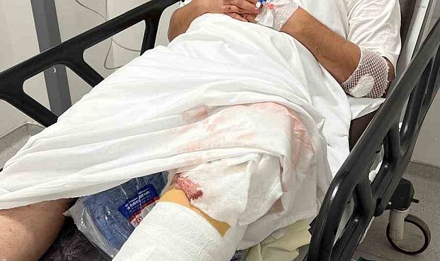 Türk Veteriner Hekimleri Birliği'nden Kayseri'de saldırıya uğrayan veteriner hekim hakkında açıklama