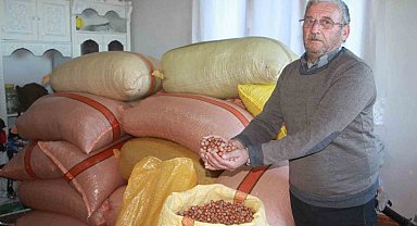 Türkiye fındığının yüzde 15'i üreticinin evinde