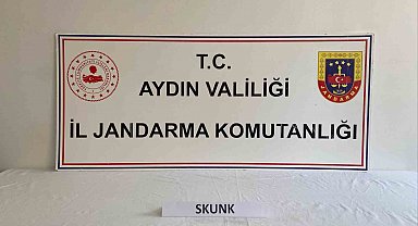 Uyuşturucu kullanan şahıslar jandarmadan kaçamadı