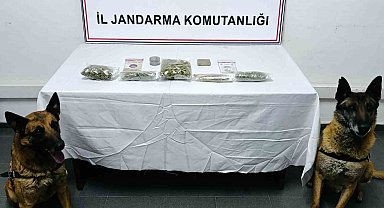Uyuşturucuyu narkotik köpeği buldu