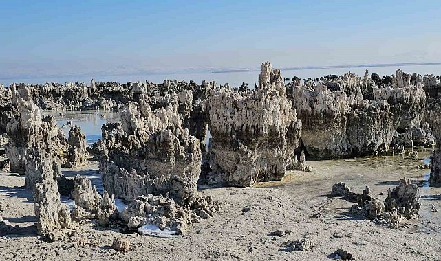 Van Gölü'nde su seviyesi düşmeye devam ediyor