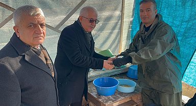 Van'da soğuk havada alabalık sağımı