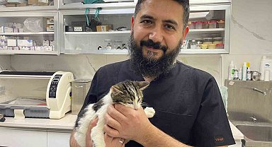 Veteriner hekim sahte mama riskine karşı uyardı