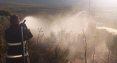 Yayladağı'nda zeytinlik yangını