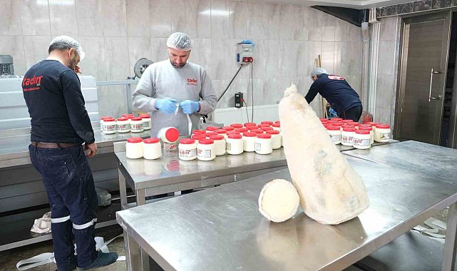 Yayladan sofraya Erzincan Tulum Peyniri