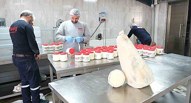 Yayladan sofraya Erzincan Tulum Peyniri