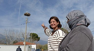 Yılın ilk leyleği yuvasına kondu