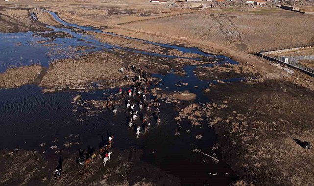 Yılkı atları diyarı Hürmetçi'de atlı safari