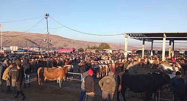 Yozgat'ta üç ilçede hayvan pazarları geçici olarak kapatıldı