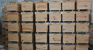 Yunusemre Belediyesinden arı üreticilerine müjde