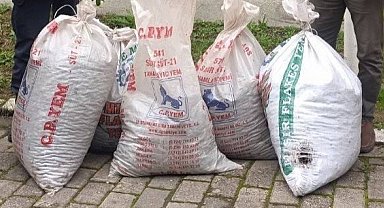 Zeytin hırsızlıları suçüstü yakalandı