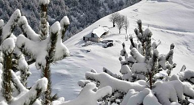 Zigana Dağında kar yağışı sonrası kartpostallık görüntüler