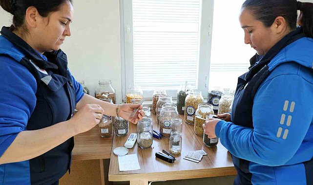 2 milyon ata tohumu dağıtımı başladı