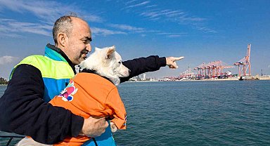 'Köpük', belediye personeliyle birlikte deniz kirliliğine karşı mücadele ediyor