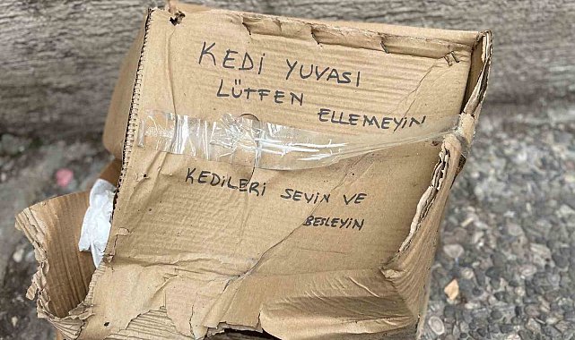 'Lütfen Ellemeyin' notu da fayda etmedi: Kedi yuvası tahrip edildi