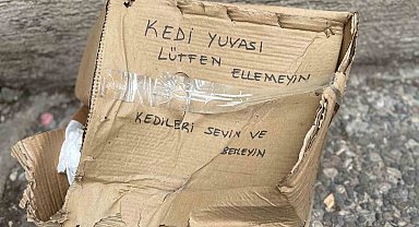 'Lütfen Ellemeyin' notu da fayda etmedi: Kedi yuvası tahrip edildi