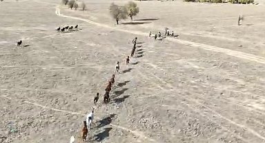 90 bin dönüm ovanın sahipleri hiç bu kadar kalabalık görülmedi