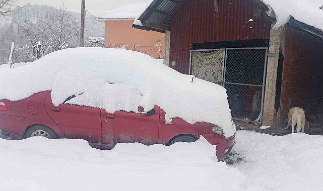 900 rakımlı kar altındaki köyde yaşama mücadelesi