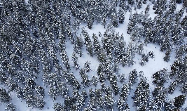 Adana'da kar yolları kapattı, kartpostallık görüntü oluşturdu