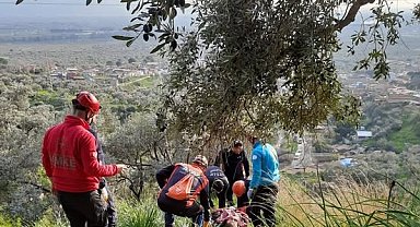 Ağaçtan düşerek ayağı kırılan vatandaşı ekipler kurtardı