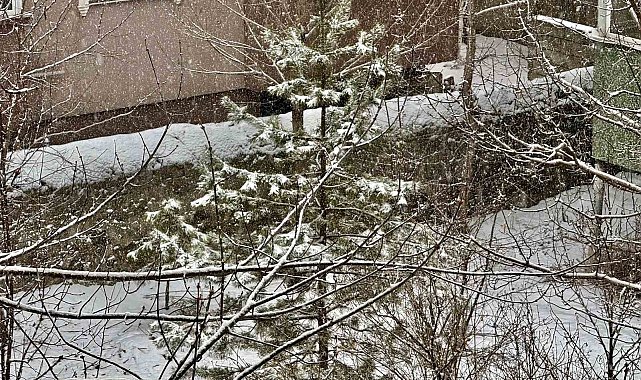 Ağrı yeniden beyaza büründü