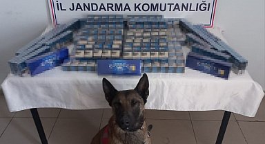 Ağrı'da 6 bin 548 paket kaçak sigara ele geçirildi