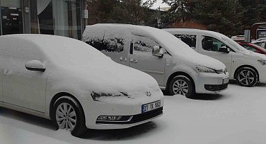 Ahlat'ta kar yağışı, 8 köy yolu ulaşıma kapandı
