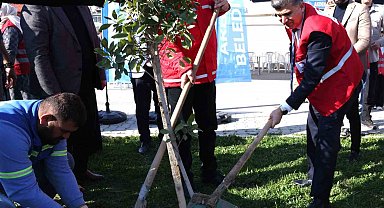 Akdeniz Belediyesi, depremde hayatını kaybedenler anısına fidan dikti