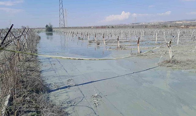 Alaşehir'de üzüm bağı içinde korkutan patlama