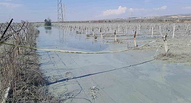 Alaşehir'de üzüm bağı içinde korkutan patlama