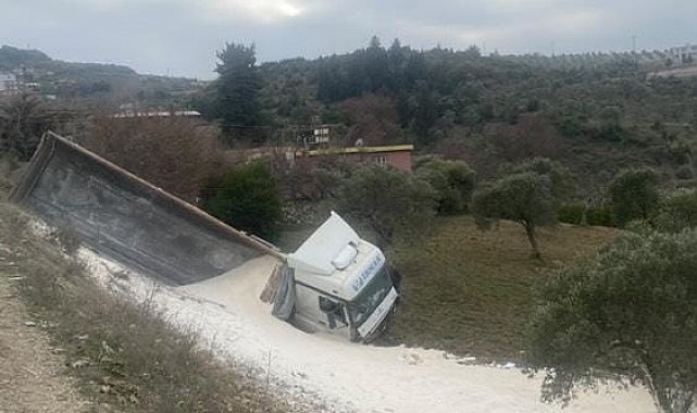 Antakya'da çakıl yüklü kamyon zeytin bahçesine uçtu