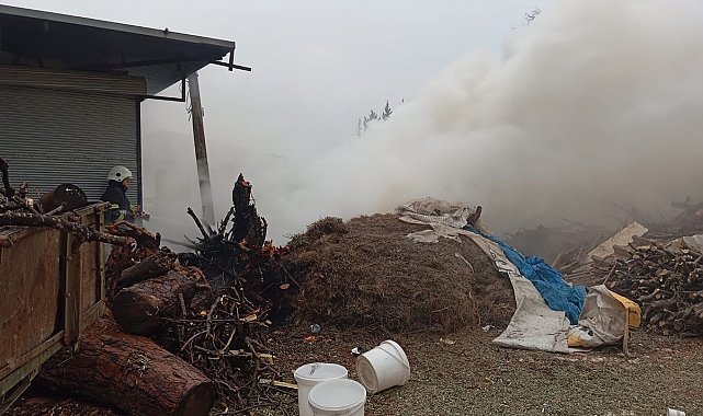 Antakya'da odunluk yangını