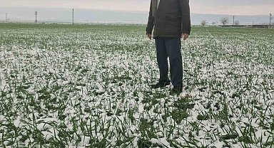 Araban Ovası'nda kar bereketi