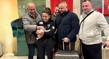 Araçta kilitli bırakılan kediyi polisler kurtardı