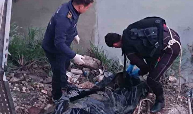 Asi Nehri'nde erkek cesedi bulundu