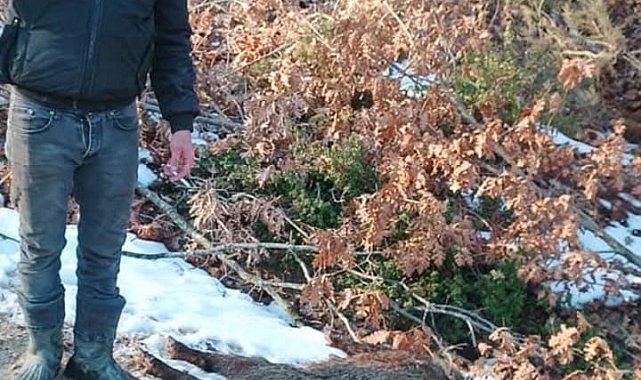 Av tüfeğinin ateş alması sonucu meydana gelen ölüme ilişkin bir kişi gözaltına alındı