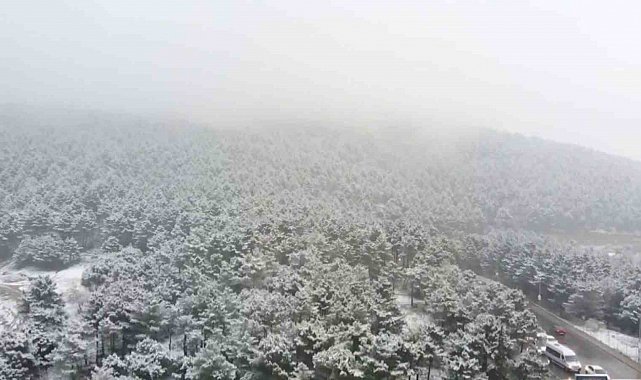 Aydos Ormanı beyaza büründü