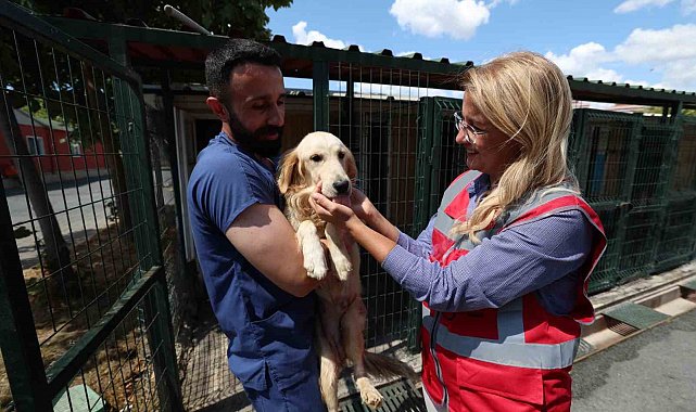 Bakırköy Belediyesi hayvanların yanında