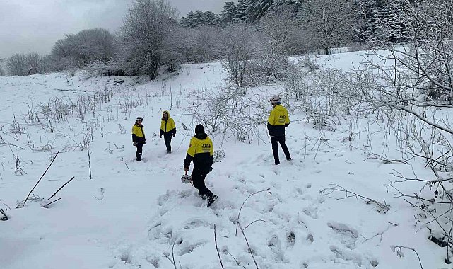 Bilecik'te dün kaybolan kadını arama çalışmaları zorlu hava şartlarına rağmen devam ediyor