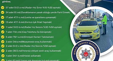 Bingöl'de kurallara uymayan sürücülere ceza