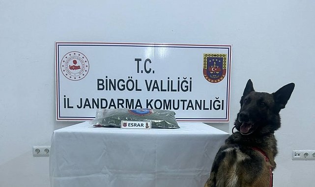 Bingöl'de uyuşturucu madde ele geçirildi, aranan 8 şüpheli yakalandı