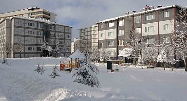 Bitlis'te kar yağışı: 219 köy yolu ulaşıma kapandı