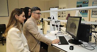 BTÜ Uludağ ormanlarındaki arıların tür çeşitliliğini belirleyecek